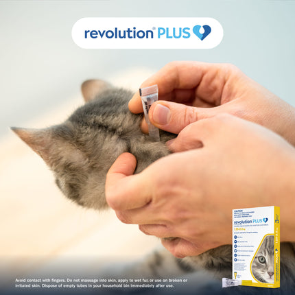 Revolution Plus - Kitten (3pk)