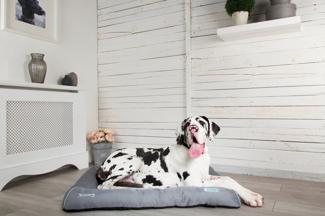 Scruffs - Cool Bed (75 x 53cm)