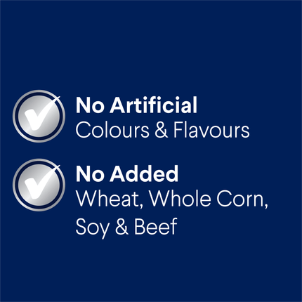 ADVANCE - Active Adult All Breed Chicken with Rice Dog Dry Food (17kg)