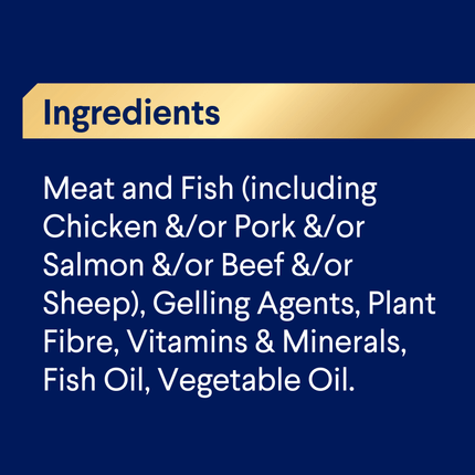 ADVANCE - Oodles Adult with Salmon Dog Wet Food (100g x 12pk)