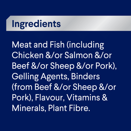 ADVANCE - Adult All Breed Salmon Casserole Dog Wet Food (100g x 12pk)