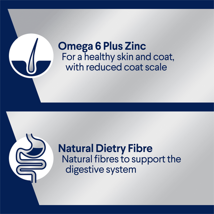 ADVANCE - Adult All Breed Salmon Casserole Dog Wet Food (100g x 12pk)