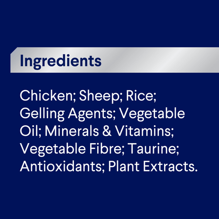 ADVANCE - Adult All Breed Chicken & Salmon with Rice Dog Wet Food (700g)