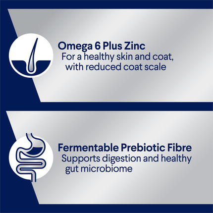 ADVANCE - Adult All Breed Chicken & Salmon with Rice Dog Wet Food (700g)