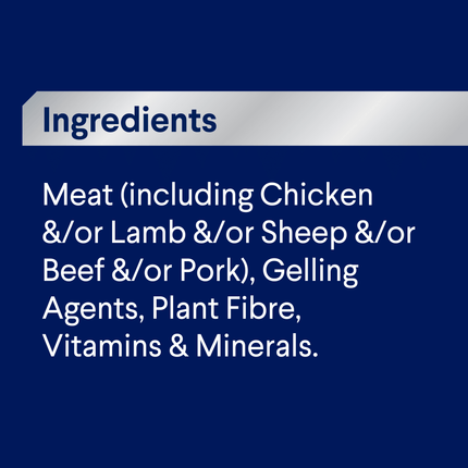 ADVANCE - Adult All Breed with Lamb Dog Wet Food (100g x 12pk)