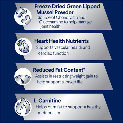 ADVANCE - Healthy Weight Adult Large Breed Chicken with Rice Dog Dry Food (17kg)