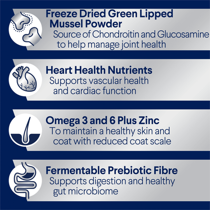 ADVANCE - Adult Large Breed Chicken with Rice Dog Dry Food (20kg)