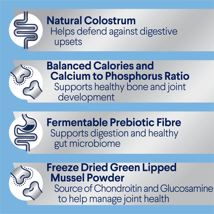 ADVANCE - Puppy Large Breed Chicken with Rice Dog Dry Food (20kg)