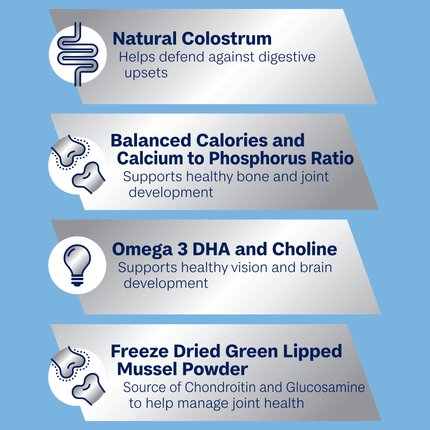 ADVANCE - Puppy Large Breed Chicken with Rice Dog Dry Food (3kg)