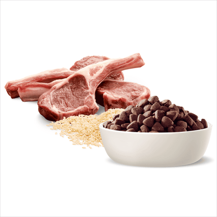 ADVANCE - Adult Medium Breed Lamb with Rice Dog Dry Food (20kg)