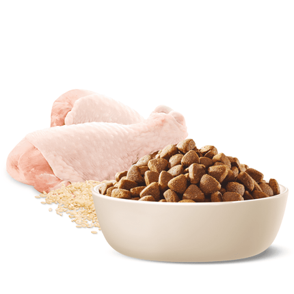 ADVANCE - Healthy Ageing Medium Breed Chicken with Rice Dog Dry Food (20kg)