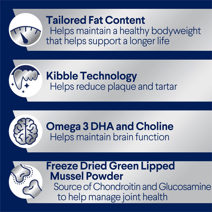 ADVANCE - Healthy Ageing Medium Breed Chicken with Rice Dog Dry Food (20kg)