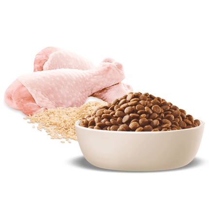 ADVANCE - Puppy Medium Breed Chicken with Rice Dog Dry Food (20kg)