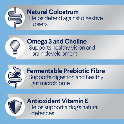 ADVANCE - Puppy Medium Breed Chicken with Rice Dog Dry Food (20kg)