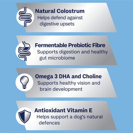 ADVANCE - Puppy Medium Breed Chicken with Rice Dog Dry Food (3kg)