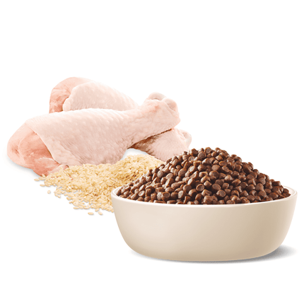 ADVANCE - Puppy Small Breed Chicken with Rice Dog Dry Food (3kg)