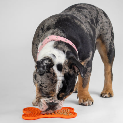 All for Paws - Lick Mat for Dogs (Small)