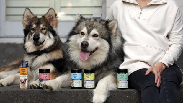 Banner image for: 