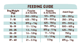 Big Dog - Chicken for Dogs (2kg)