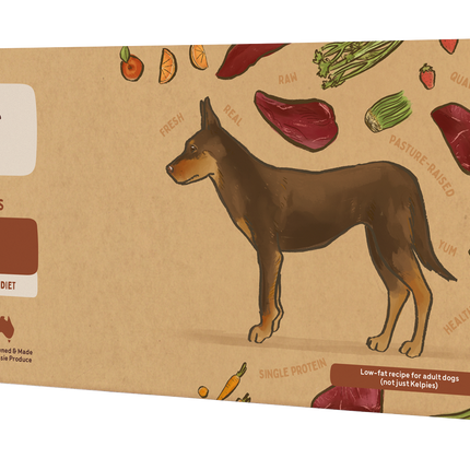 Big Dog - Kangaroo Allergy for Dogs (3kg)