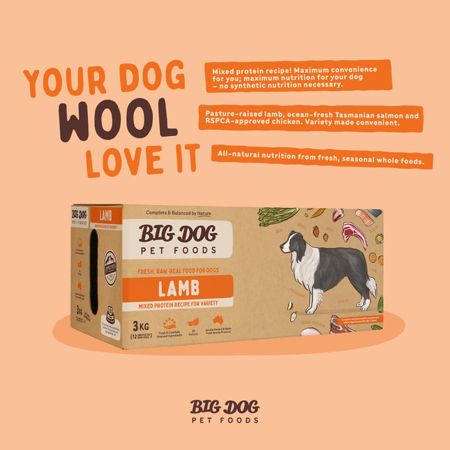 Big Dog - Lamb for Dogs (3kg)