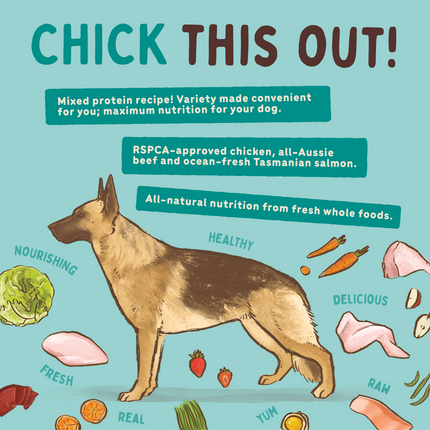 Big Dog - Chicken for Dogs (3kg)