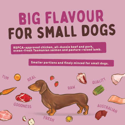 Big Dog - Combo for Small Dogs (1.5kg)