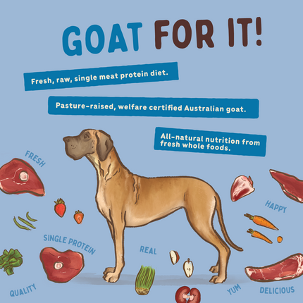 Big Dog - Allergy Friendly Goat for Dogs (3kg)