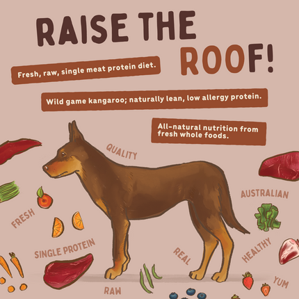 Big Dog - Allergy Friendly Kangaroo for Dogs (3kg)