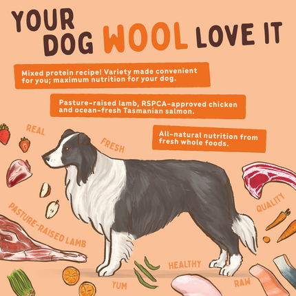 Big Dog - Lamb for Dogs (3kg)