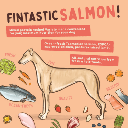 Big Dog - Tasmanian Salmon for Dogs (3kg)