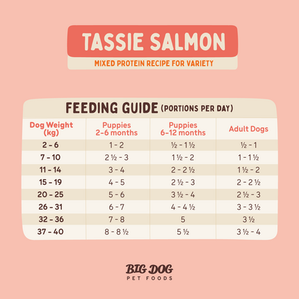 Big Dog - Tasmanian Salmon for Dogs (3kg)