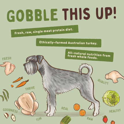 Big Dog - Allergy Friendly Turkey for Dogs (3kg)