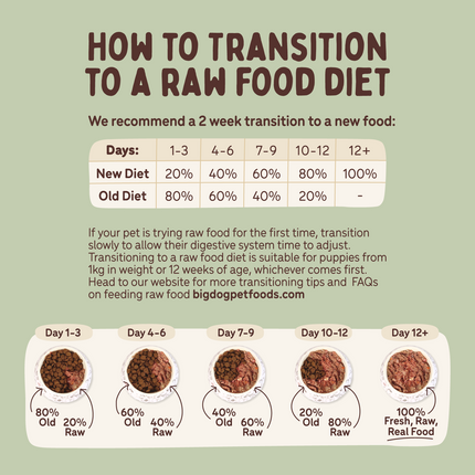 Big Dog - Allergy Friendly Turkey for Dogs (3kg)