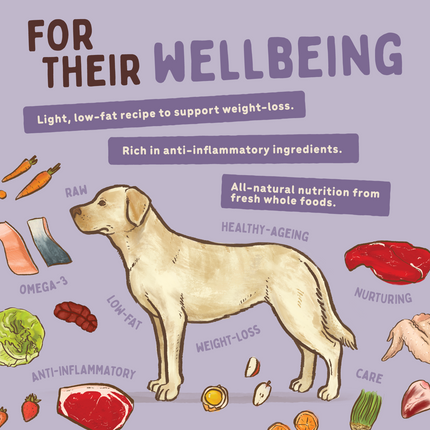 Big Dog - Wellbeing for Dogs (3kg)
