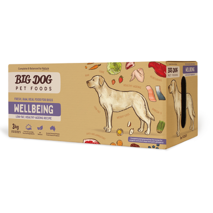 Big Dog - Wellbeing for Dogs (3kg)