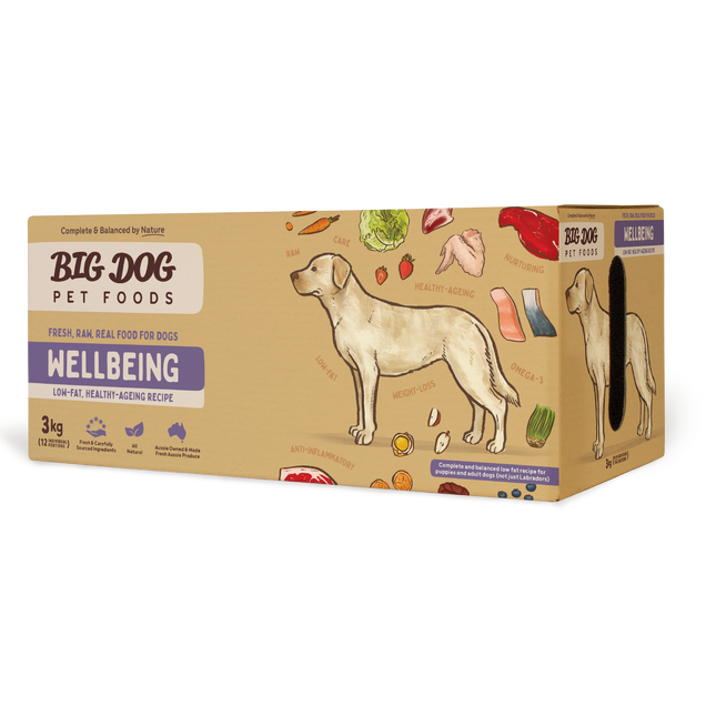 Big Dog - Wellbeing for Dogs (3kg)