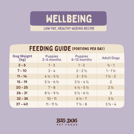 Big Dog - Wellbeing for Dogs (3kg)