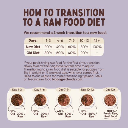 Big Dog - Wellbeing for Dogs (3kg)