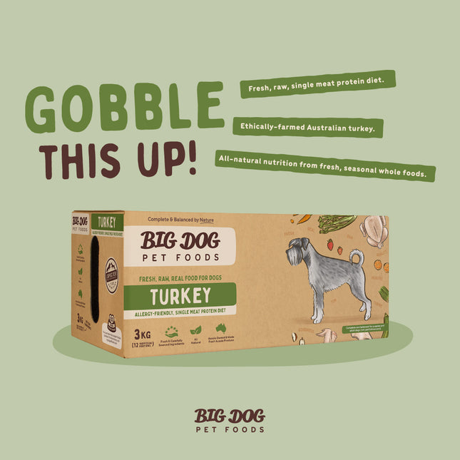 Big Dog - Allergy Friendly Turkey for Dogs (3kg)