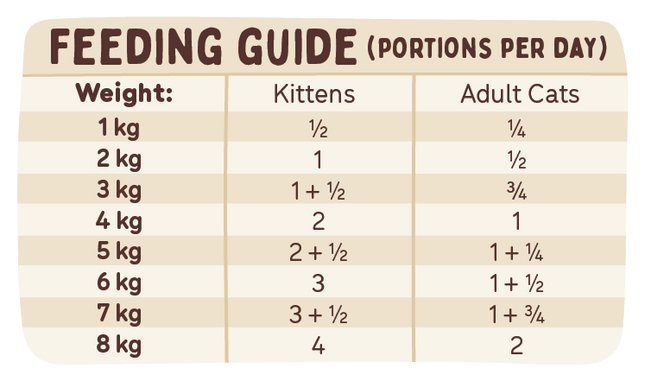 Big Dog - Turkey for Cats (1.38kg)