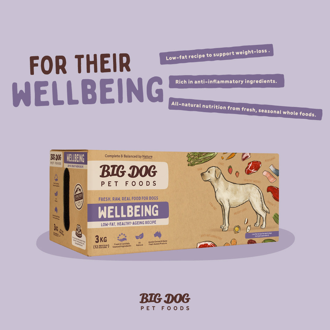 Big Dog Wellbeing for Dogs (3kg) – Pets Domain