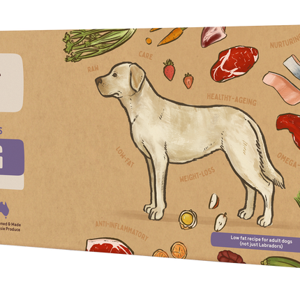 Big Dog - Wellbeing for Dogs (3kg)