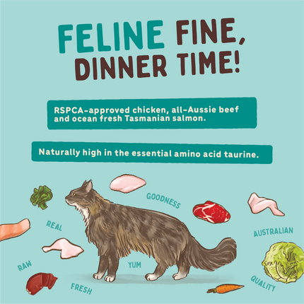 Big Dog - Chicken for Cats (1.38kg)