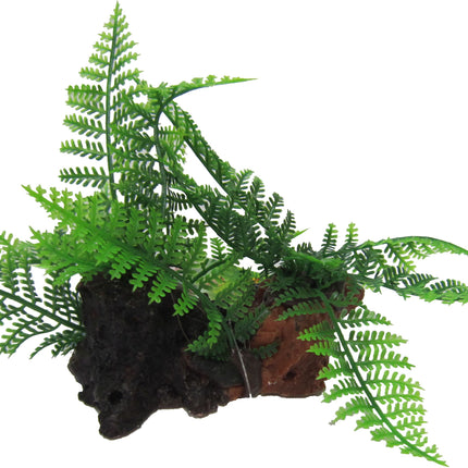 Twin Ferns on Log 12cm