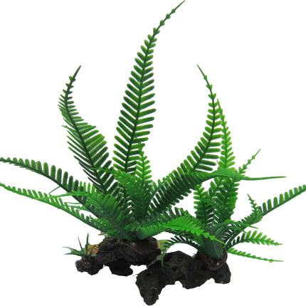 Twin Lace Fern 18cm