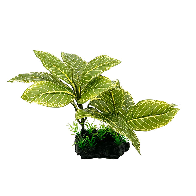 Giant Lemon Tree 28cm