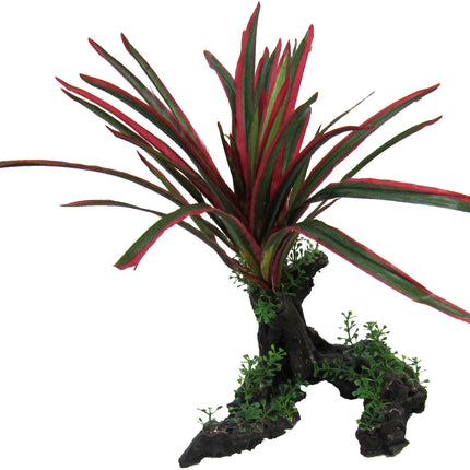 Giant Red/Green Spinifex 26cm