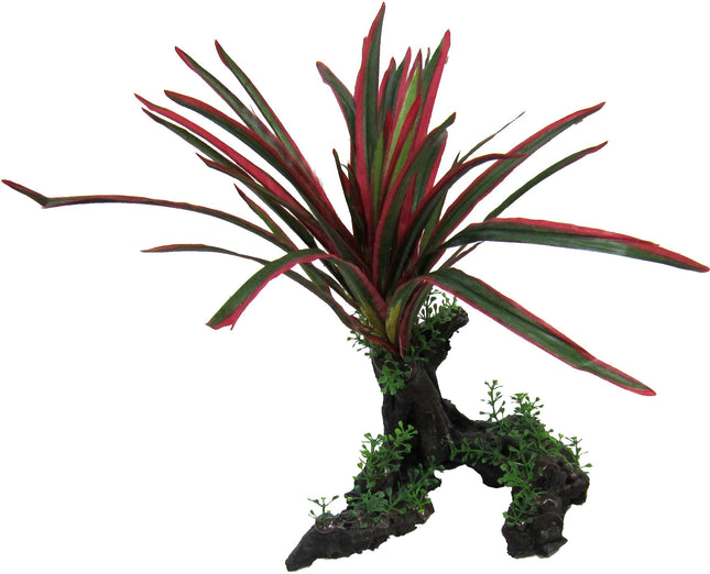 Giant Red/Green Spinifex 26cm