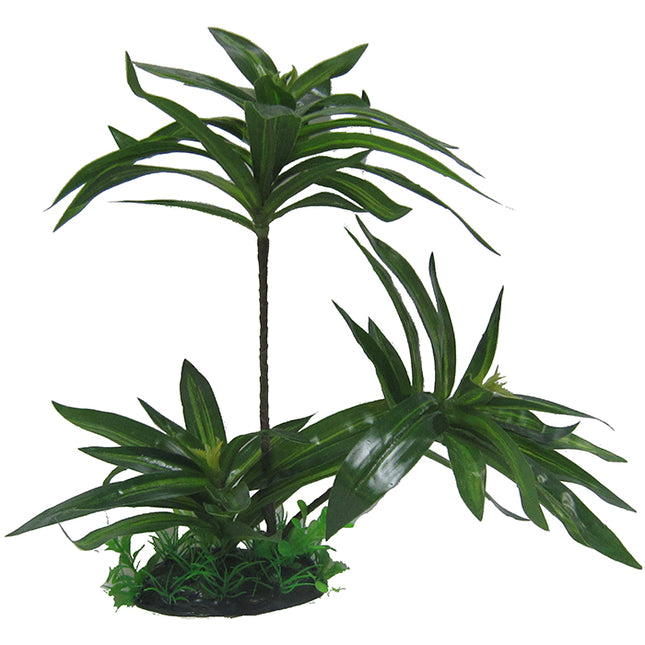 Brazilian Palm Plant 32cm